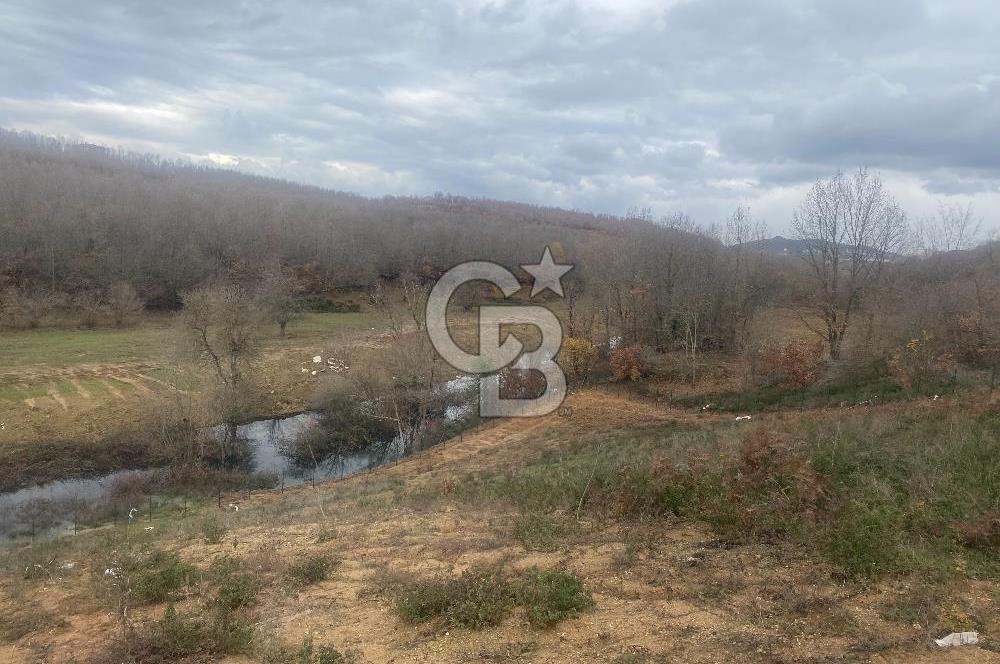 YALOVA ALTINOVA ÖRENCİK KÖYÜ 8431,76 M2 TARIMA UYGUN TARLA !