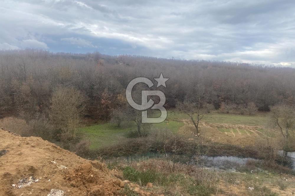 YALOVA ALTINOVA ÖRENCİK KÖYÜ 8431,76 M2 TARIMA UYGUN TARLA !