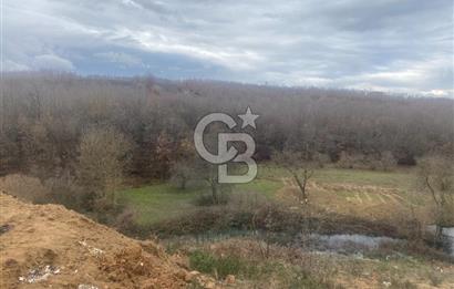 YALOVA ALTINOVA ÖRENCİK KÖYÜ 8431,76 M2 TARIMA UYGUN TARLA !