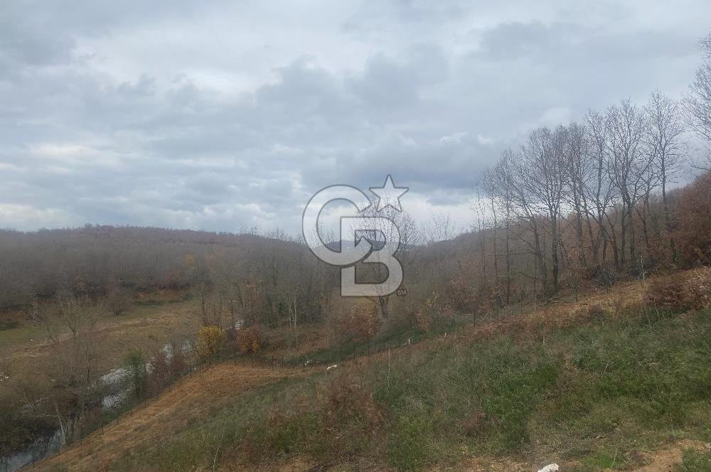 YALOVA ALTINOVA ÖRENCİK KÖYÜ 8431,76 M2 TARIMA UYGUN TARLA !