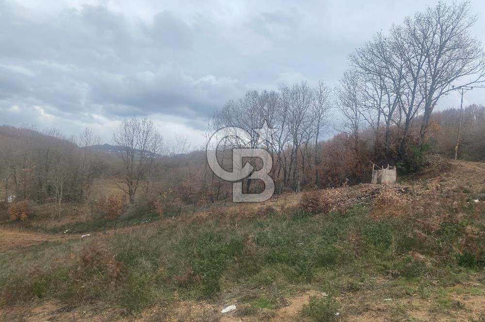 YALOVA ALTINOVA ÖRENCİK KÖYÜ 8431,76 M2 TARIMA UYGUN TARLA !