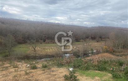 YALOVA ALTINOVA ÖRENCİK KÖYÜ 8431,76 M2 TARIMA UYGUN TARLA !