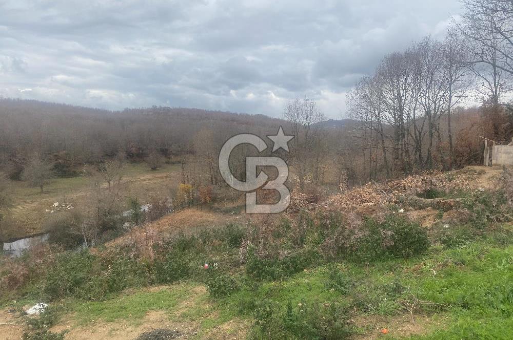 YALOVA ALTINOVA ÖRENCİK KÖYÜ 8431,76 M2 TARIMA UYGUN TARLA !