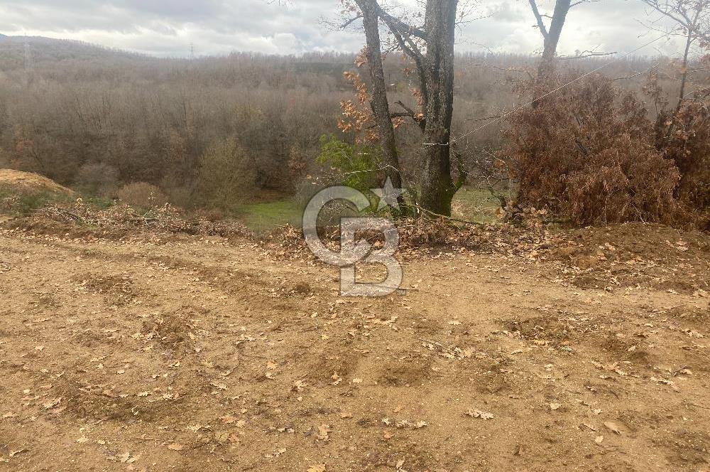 YALOVA ALTINOVA ÖRENCİK KÖYÜ 8431,76 M2 TARIMA UYGUN TARLA !