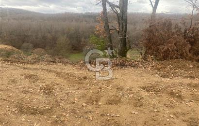 YALOVA ALTINOVA ÖRENCİK KÖYÜ 8431,76 M2 TARIMA UYGUN TARLA !