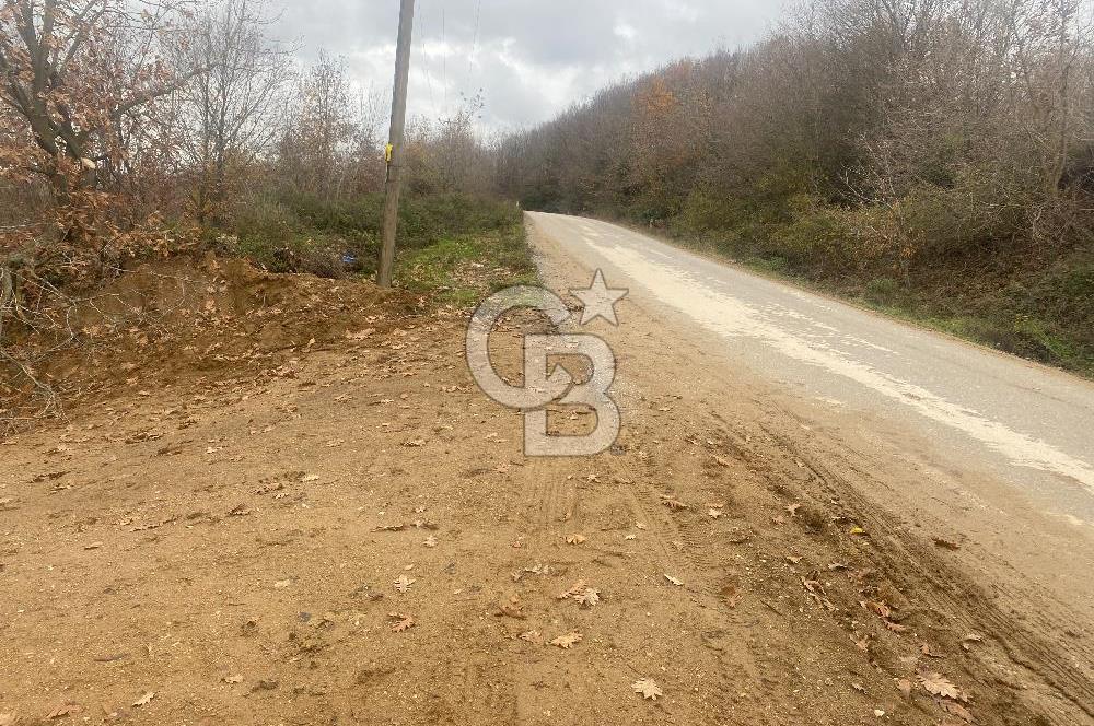 YALOVA ALTINOVA ÖRENCİK KÖYÜ 8431,76 M2 TARIMA UYGUN TARLA !