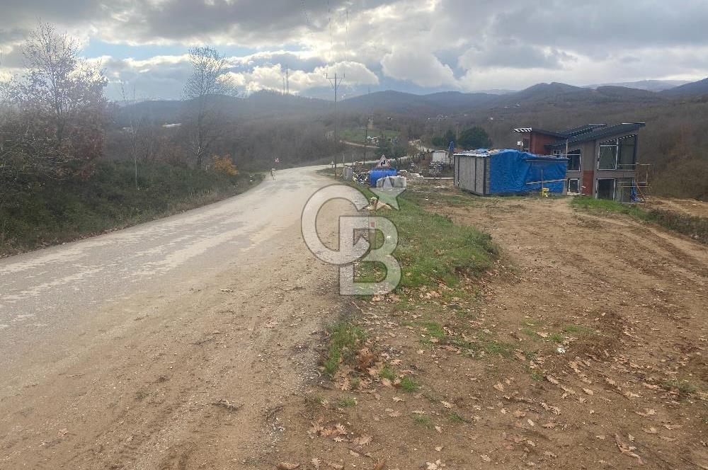 YALOVA ALTINOVA ÖRENCİK KÖYÜ 8431,76 M2 TARIMA UYGUN TARLA !