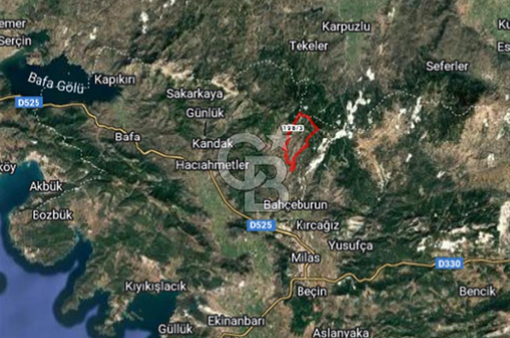 Ketenderede 1.110 m² Tarla + Kargir Ev