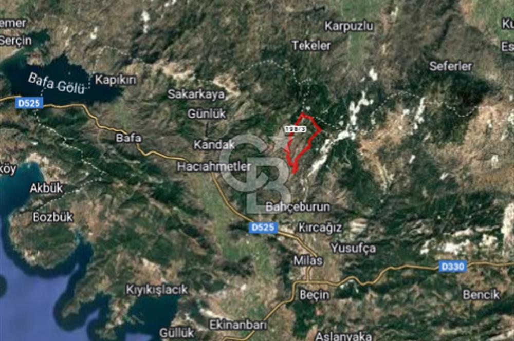 Ketenderede 1.110 m² Tarla + Kargir Ev