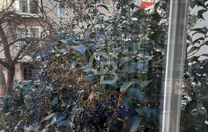 SARIYER MERKEZDE, SAHİLE 400M, 2. DERECE TARİHİ SATILIK KÖŞK