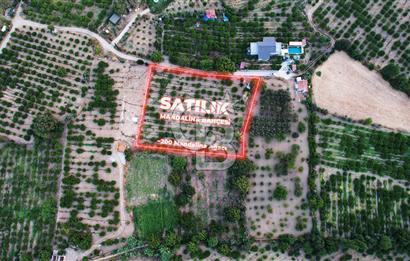 İzmir Seferisihar Ulamış 4.915 m² Satılık Mandalina Bahçesi