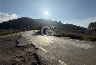 İzmir Seferihisar Beyler Köyü’nde Asfalta Sıfır, 80 Metre Cepheli Zeytinlik - 6 - 324272