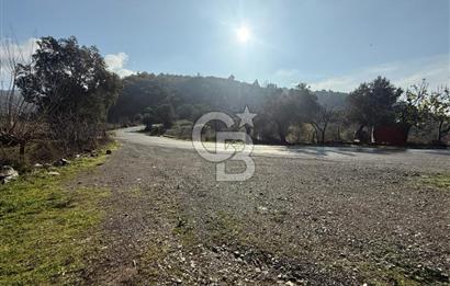 İzmir Seferihisar Beyler Köyü’nde Asfalta Sıfır, 80 Metre Cepheli Zeytinlik