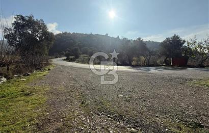 İzmir Seferihisar Beyler Köyü’nde Asfalta Sıfır, 80 Metre Cepheli Zeytinlik