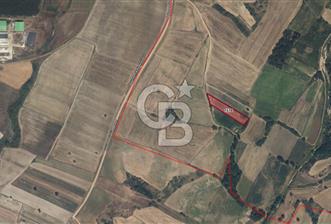 Kırklareli Merkez Kavakdere’de 3650 m² Müstakil Yatırımlık Tarla– Fırsat Parsel! (Parsel 1570) - 5 - 324312