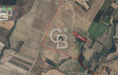 Kırklareli Merkez Kavakdere’de 3650 m² Müstakil Yatırımlık Tarla– Fırsat Parsel! (Parsel 1570)