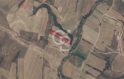 Kırklareli Merkez Kavakdere’de 3900 m² Müstakil Yatırımlık Tarla – Kaçırılmayacak Fırsat! (Parsel 192)