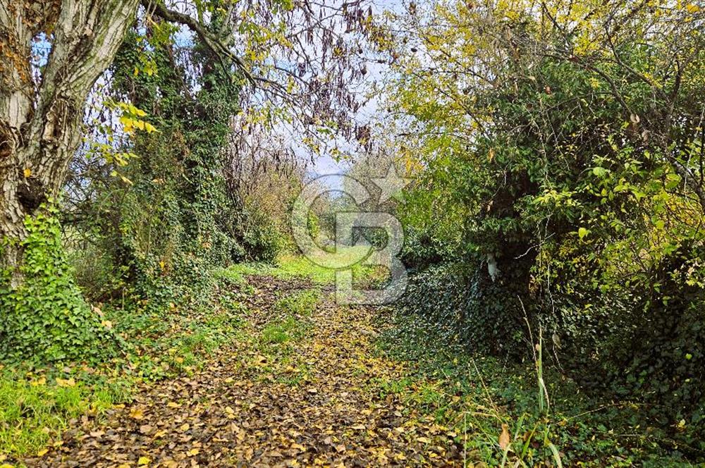 MUĞLA KÖYCEĞİZ YUVARLAKÇAY SATILIK İMARLI ARSA