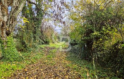 MUĞLA KÖYCEĞİZ YUVARLAKÇAY SATILIK İMARLI ARSA