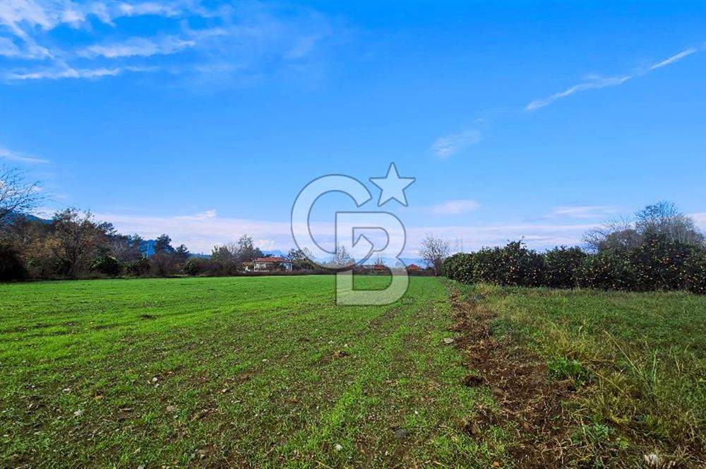 MUĞLA KÖYCEĞİZ YUVARLAKÇAY SATILIK İMARLI ARSA