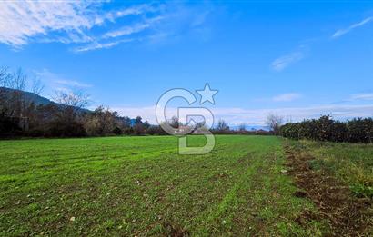 MUĞLA KÖYCEĞİZ YUVARLAKÇAY SATILIK İMARLI ARSA