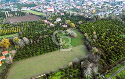 MUĞLA KÖYCEĞİZ YUVARLAKÇAY SATILIK İMARLI ARSA