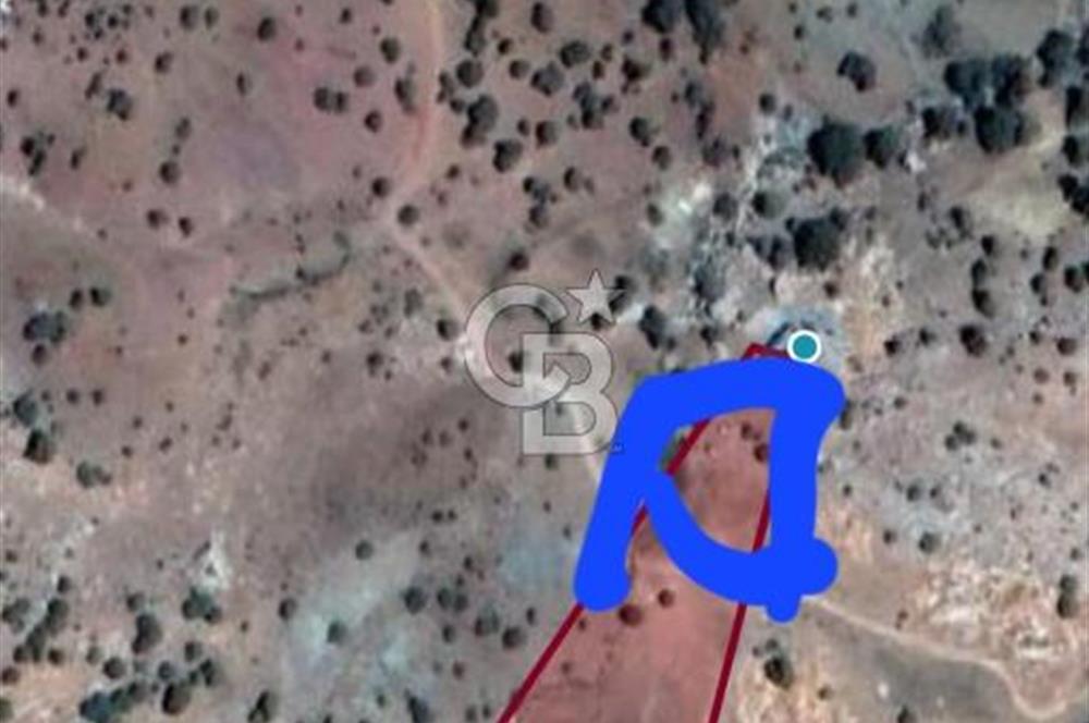 KONYAALTI DOYRAN'DA KAÇIRILMAYACAK PARSEL