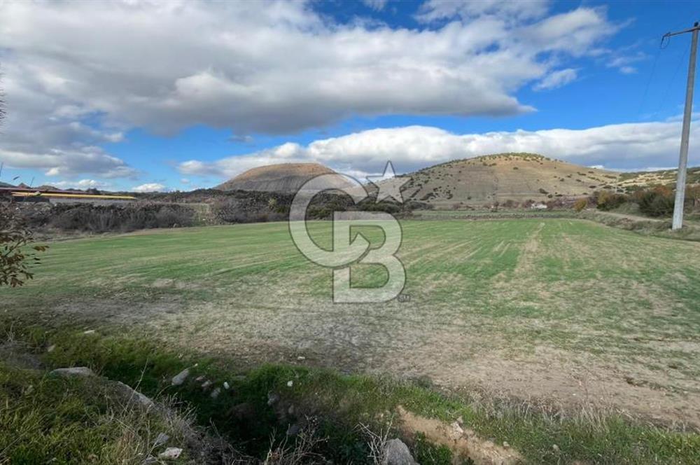 Manisa Kula Zaferiye Satılık Tarla