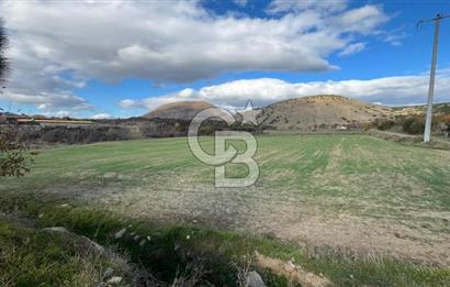 Manisa Kula Zaferiye Satılık Tarla