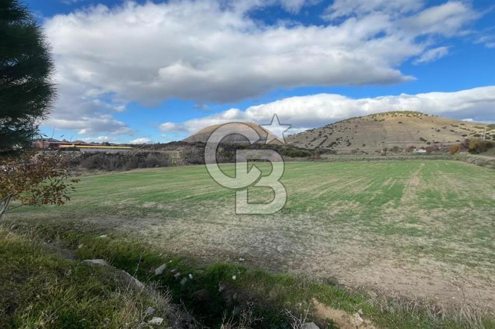 Manisa Kula Zaferiye Satılık Tarla