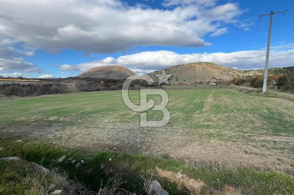 Manisa Kula Zaferiye Satılık Tarla