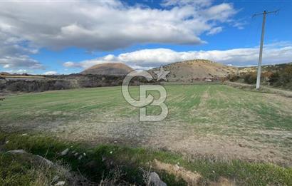 Manisa Kula Zaferiye Satılık Tarla