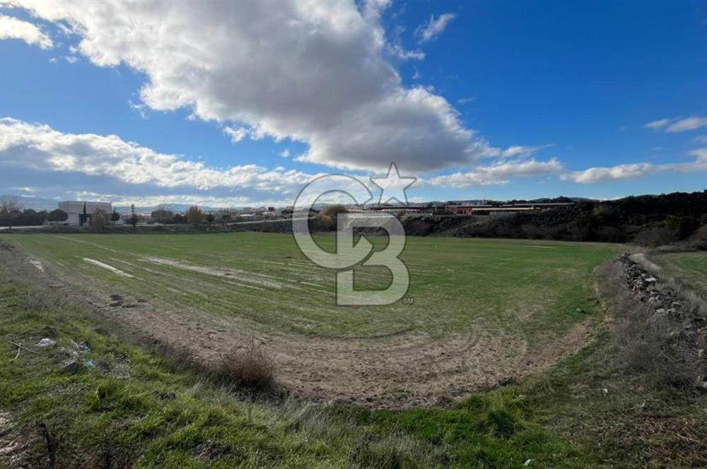 Manisa Kula Zaferiye Satılık Tarla