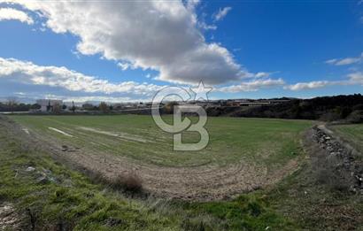 Manisa Kula Zaferiye Satılık Tarla