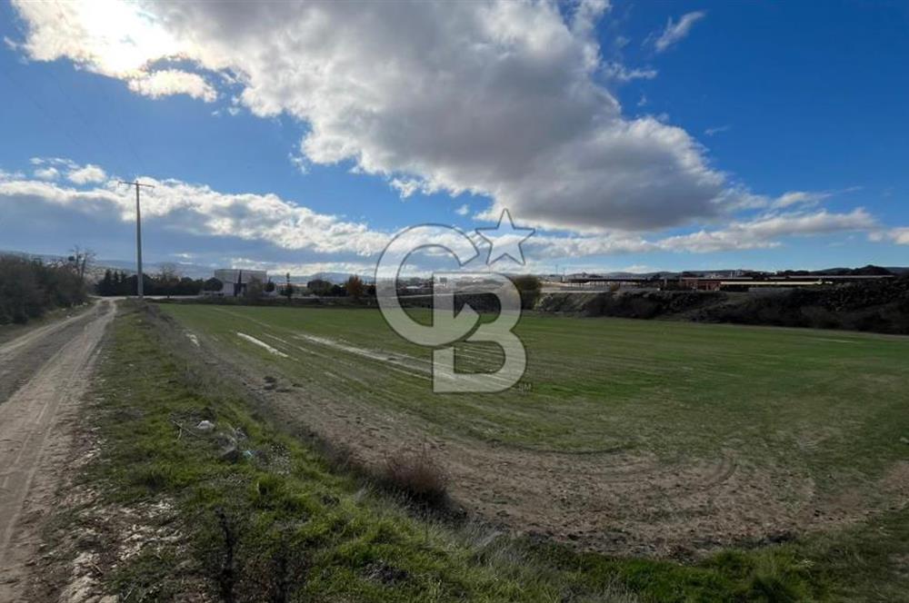 Manisa Kula Zaferiye Satılık Tarla