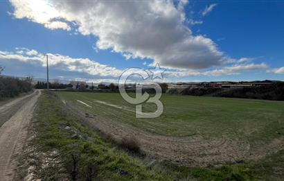 Manisa Kula Zaferiye Satılık Tarla