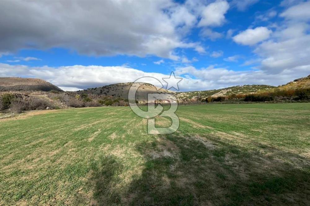 Manisa Kula Zaferiye Satılık Tarla