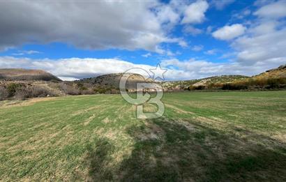 Manisa Kula Zaferiye Satılık Tarla