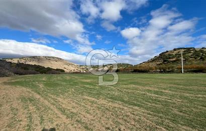 Manisa Kula Zaferiye Satılık Tarla