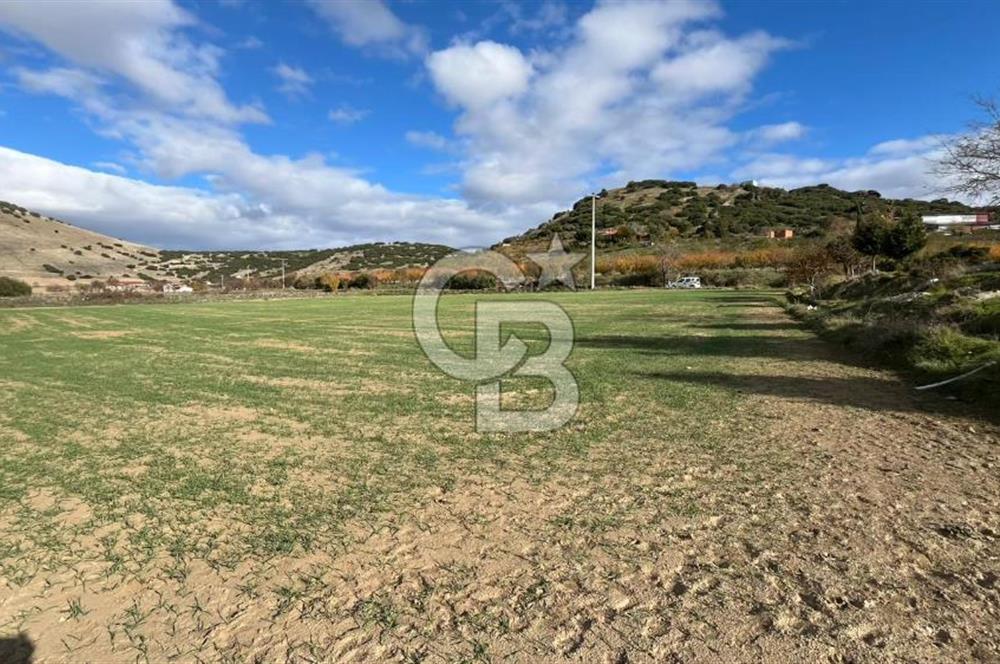 Manisa Kula Zaferiye Satılık Tarla