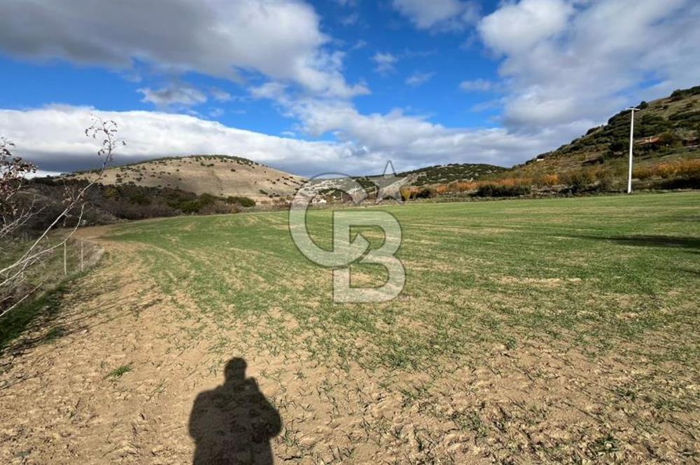 Manisa Kula Zaferiye Satılık Tarla