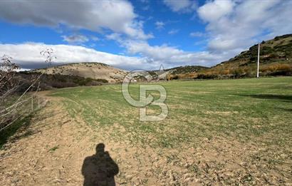 Manisa Kula Zaferiye Satılık Tarla