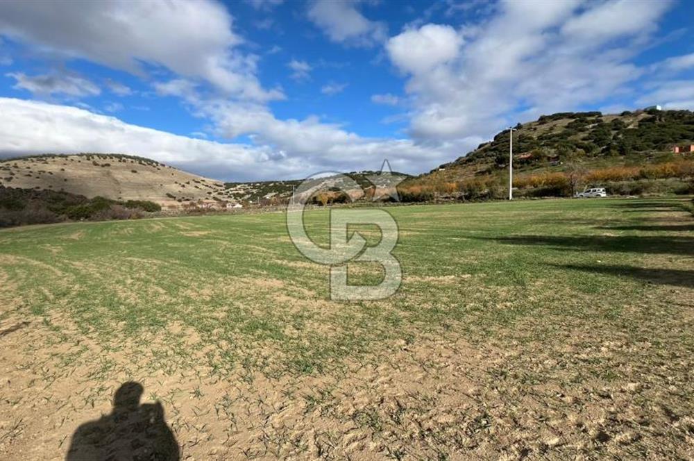 Manisa Kula Zaferiye Satılık Tarla