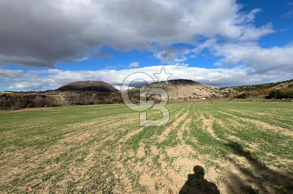 Manisa Kula Zaferiye Satılık Tarla
