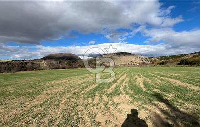 Manisa Kula Zaferiye Satılık Tarla