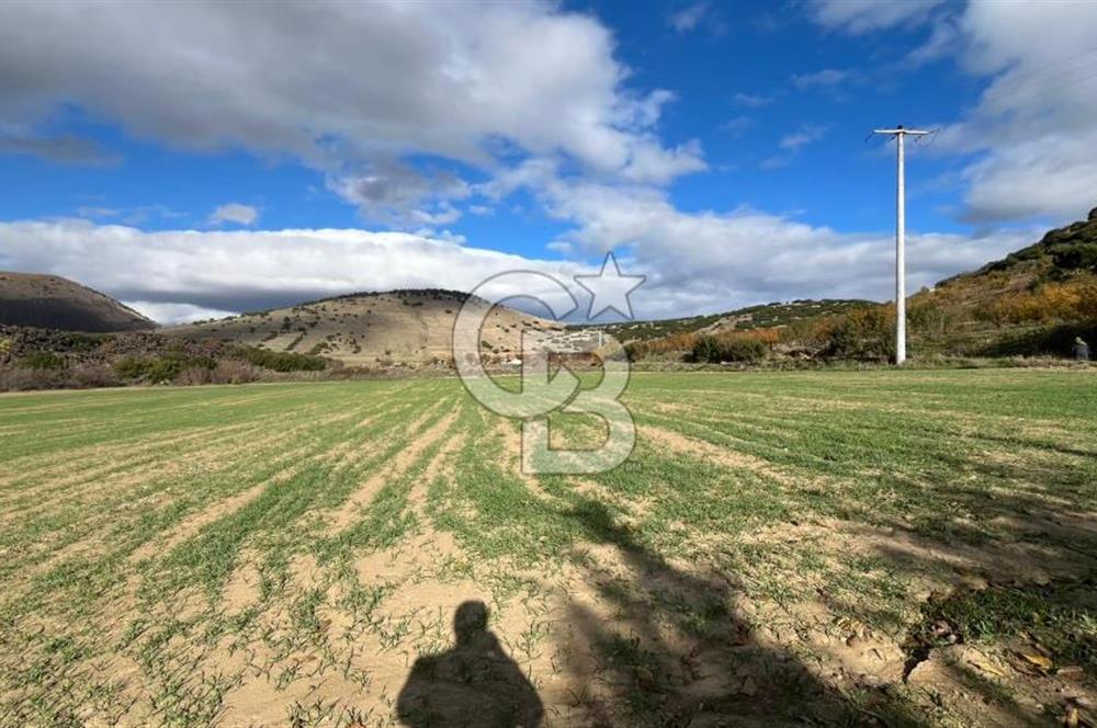 Manisa Kula Zaferiye Satılık Tarla