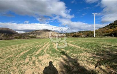 Manisa Kula Zaferiye Satılık Tarla