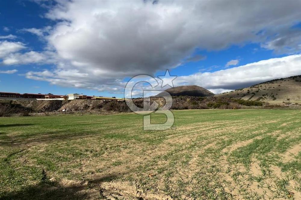 Manisa Kula Zaferiye Satılık Tarla