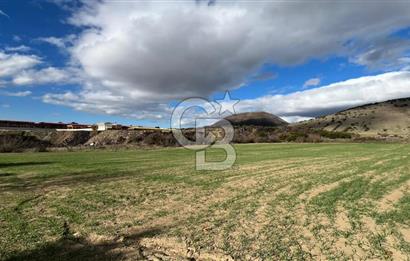 Manisa Kula Zaferiye Satılık Tarla