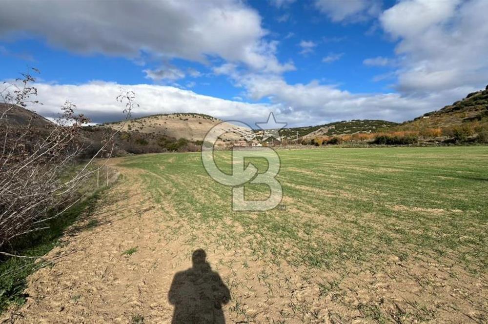 Manisa Kula Zaferiye Satılık Tarla